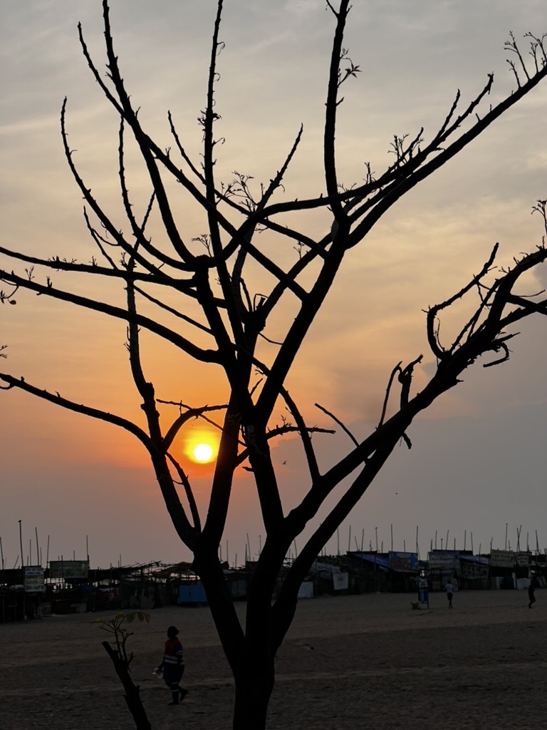 Golden hour, Marina — photographed by Navaneeth Sivakumar